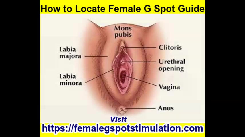 G Spot - Female G Spot Techniques and Positions - uiPorn.com